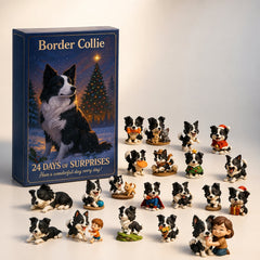 Boîte du calendrier de l'Avent et ses 24 ornements Border Collie sur fond clair