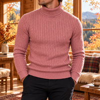 Pull homme col roulé | Wolf