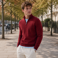 Pull homme demi-zip | Wesley